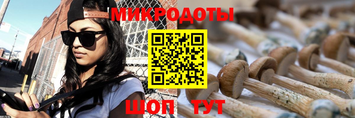 Галлюциногенные грибы Psilocybe Кострома